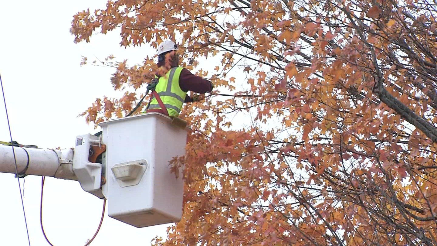 Eversource embarks on year-round tree trimming effort - WFSB 3 Connecticut