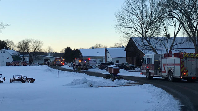 In total, 24 horses died from smoke inhalation. (WFSB)