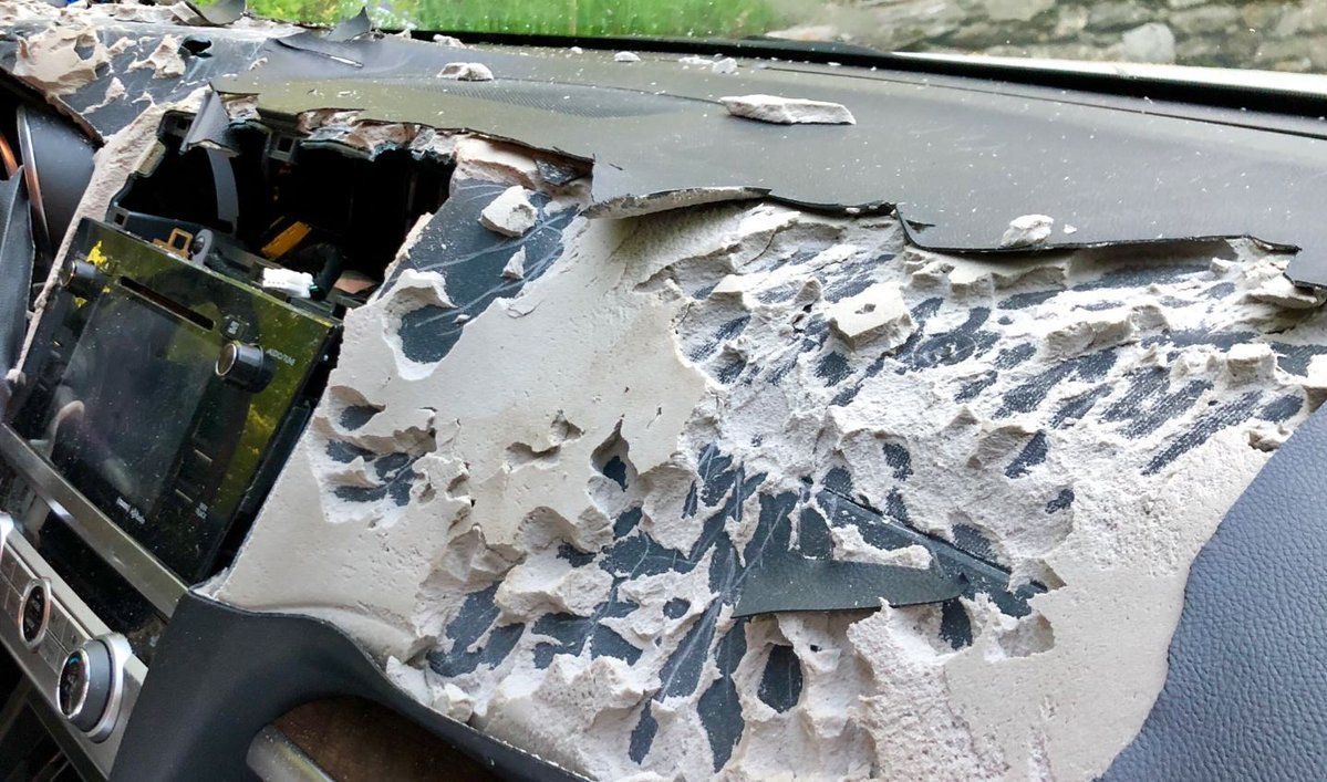 Woman’s 911 calls about bear stuck inside car released WFSB 3 Connecticut