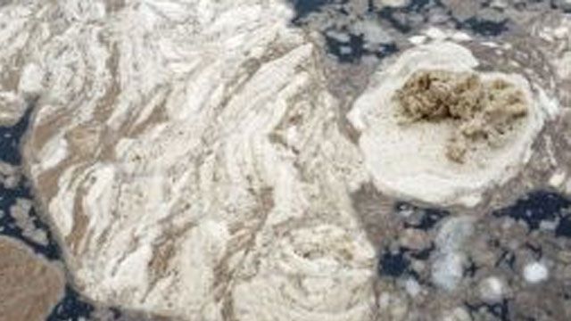 Photo Credit: Lindsay Perry with Stamford advocate