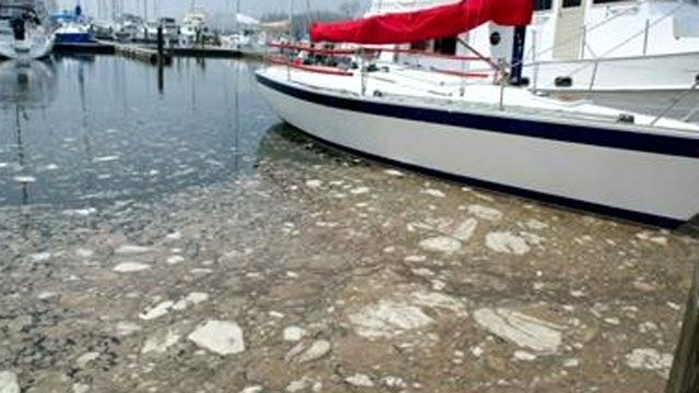 Photo Credit: Lindsay Perry with Stamford advocate